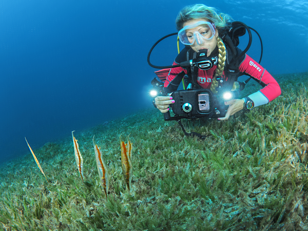 diver surrounded by marine life in Komodo reef