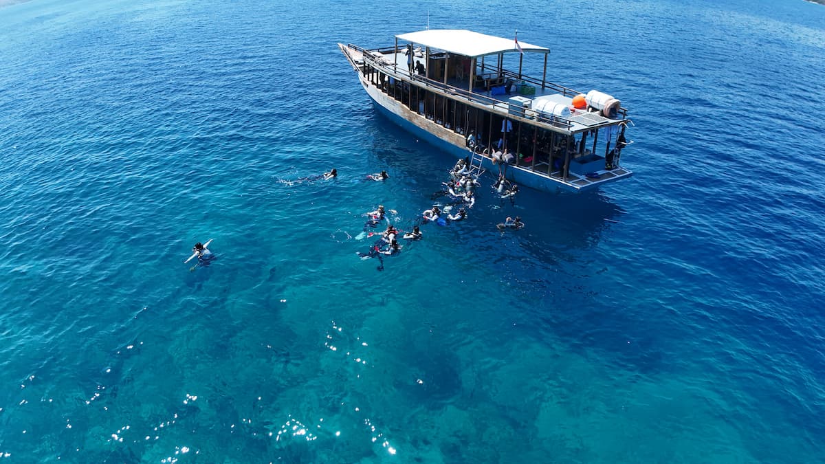Batu Bolong dive site in Komodo with dense fish schools and coral reef