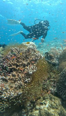 Diver maintaining streamlined position while diving in current