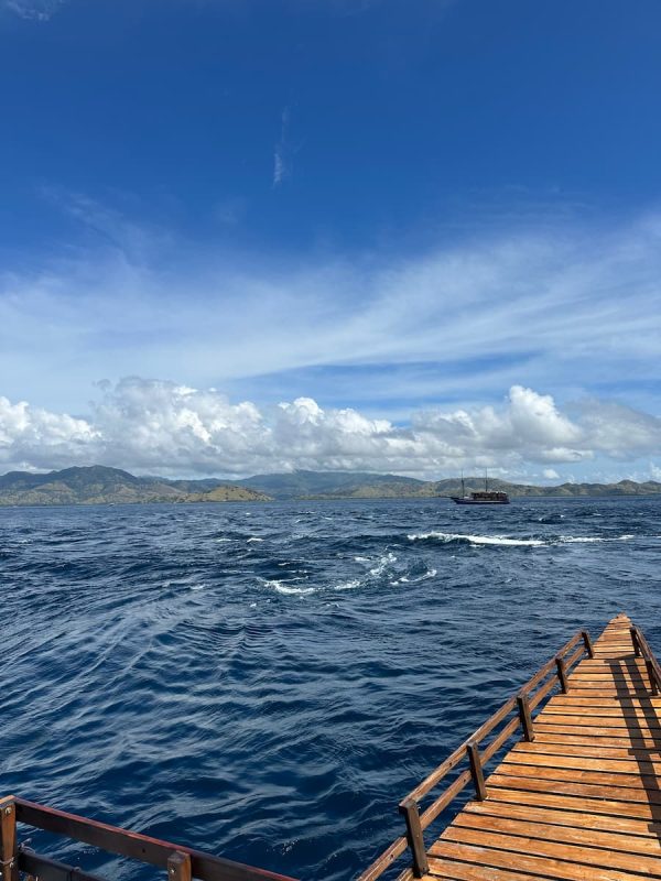 Diving in Komodo currents with controlled drift and clear visibility