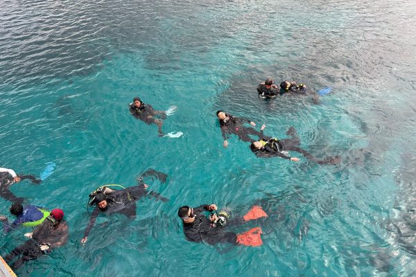 Komodo National Park aerial view — volcanic islands and turquoise water, one of the best scuba diving destinations in Southeast Asia