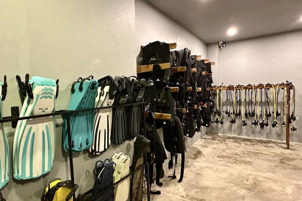 amare divers equipment rental