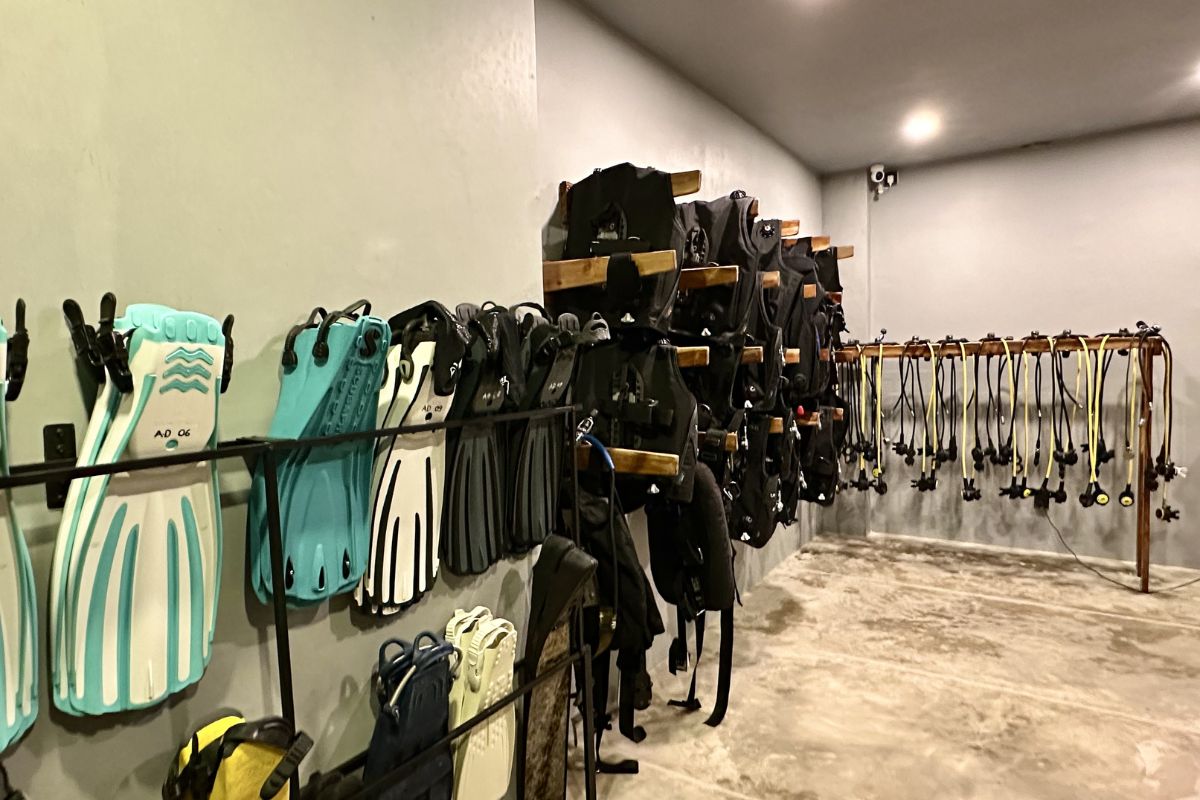 amare divers equipment rental