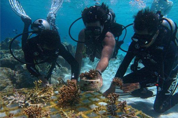 Scuba divers exploring vibrant coral wall during Maria Seascape autumn schedule cruise