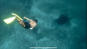 Amare Divers place picture